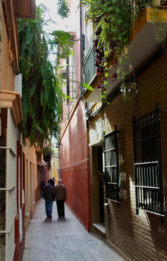 Wish Suite San Bartolome De Sevilla エクステリア 写真